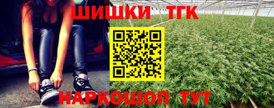 индика Донецк